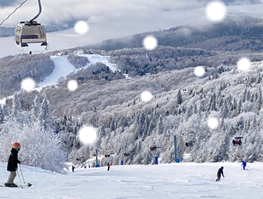 Paysage hivernal